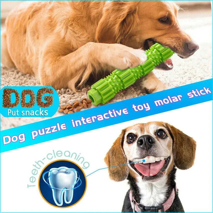 Green and orange rubber dog chew toy with treat dispensing hole and textured surface