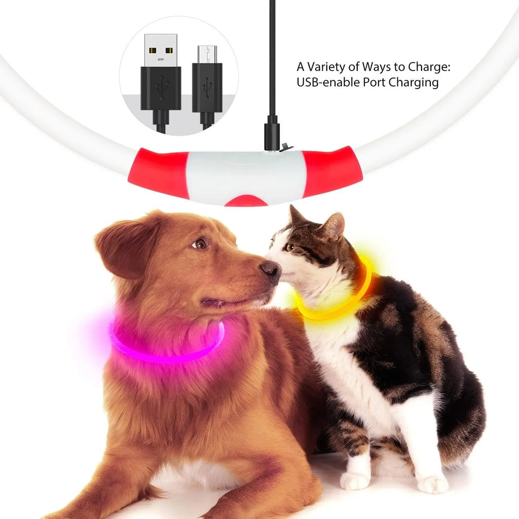 USB rechargeable LED dog collar showing blue glowing light on adjustable TPU collar