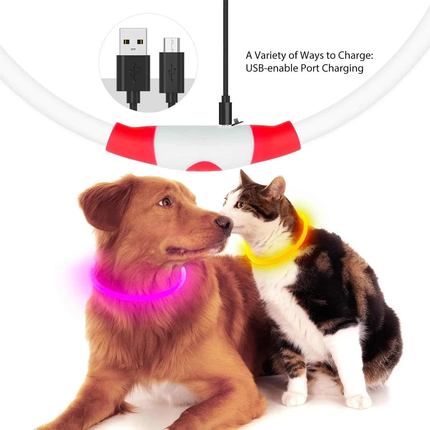 USB rechargeable LED dog collar showing blue glowing light on adjustable TPU collar