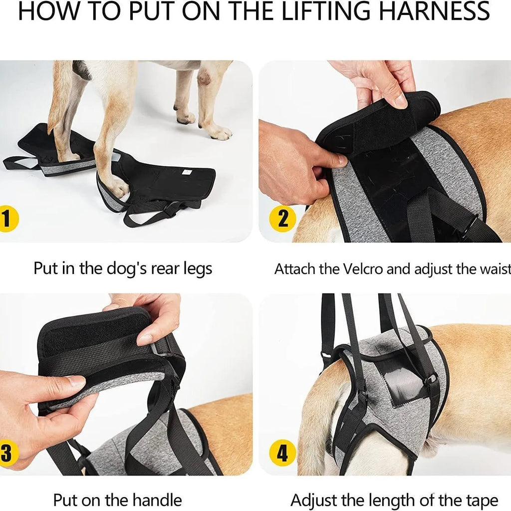 Medium grey neoprene dog rear leg recovery belt for 46-52cm waist measurements