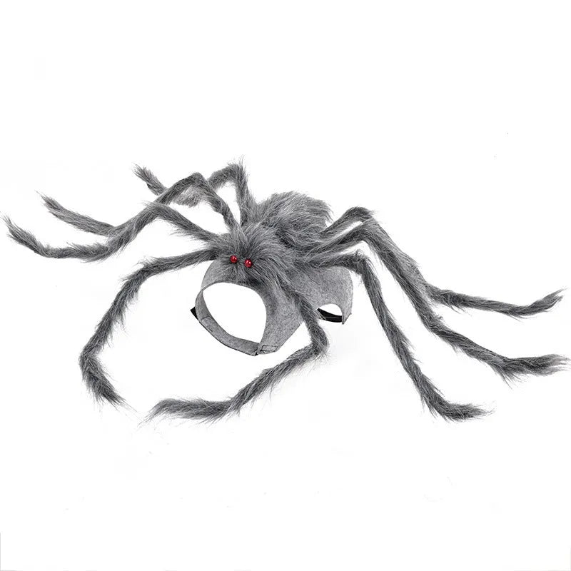 Grey and black spider costume on a dog for Halloween