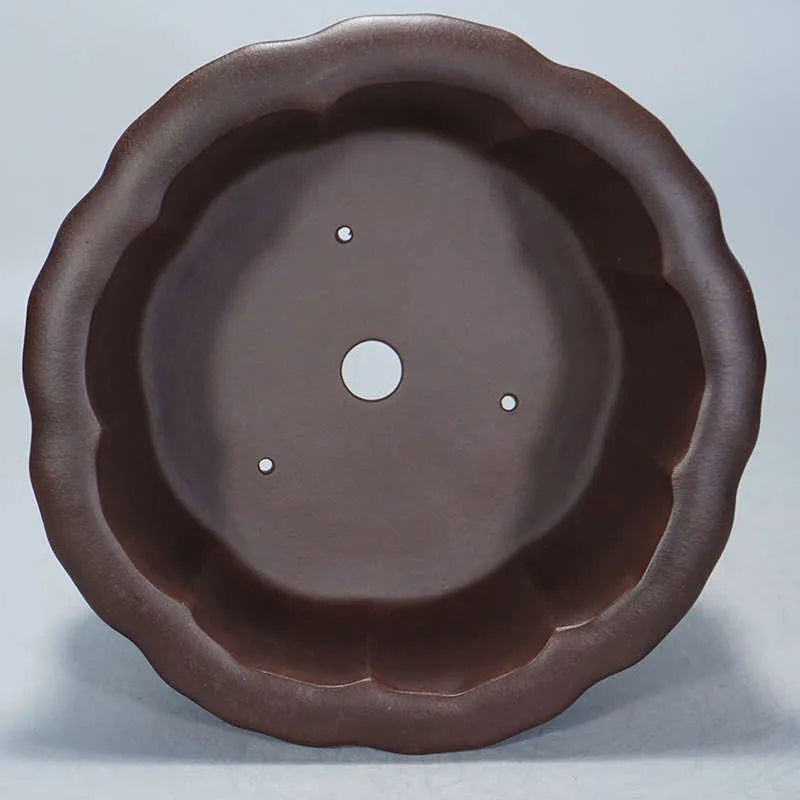 Purple red mud antique ceramic succulent pot with petal basin shape, 37 cm wide.