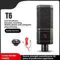 Black condenser wired noise cancelling microphone with shockproof mounting for recording and live streaming