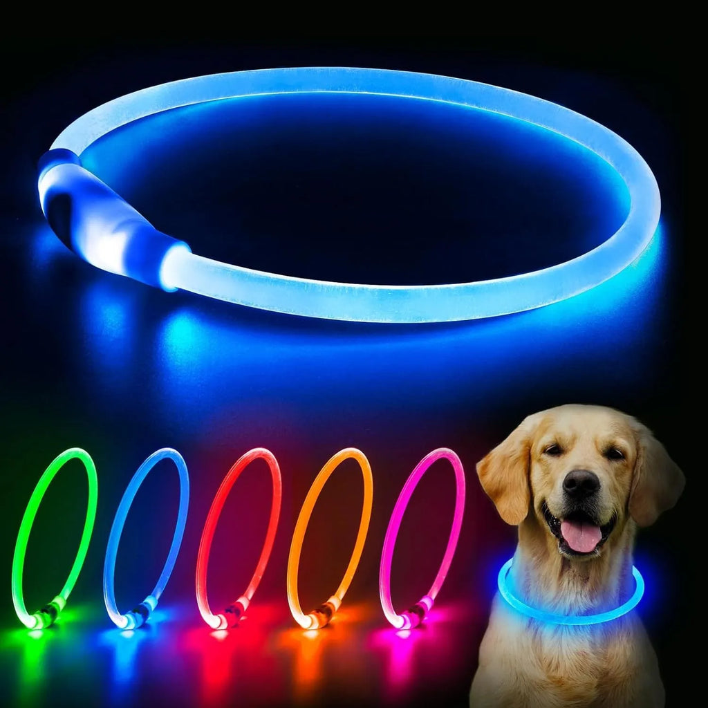 USB rechargeable LED dog collar showing blue glowing light on adjustable TPU collar