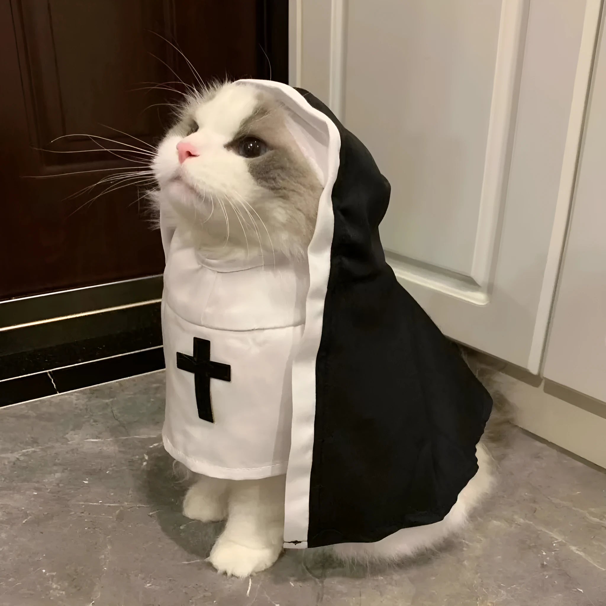 Black and white dog nun costume with cloak for Halloween pet parties