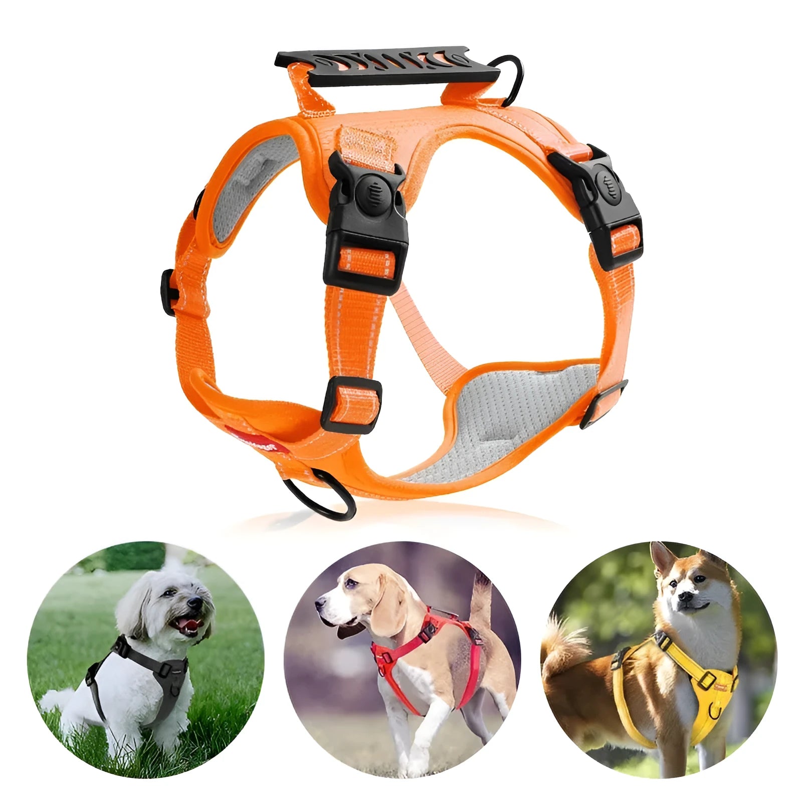 Adjustable polyester dog harness and lead in multiple colours on a size chart.