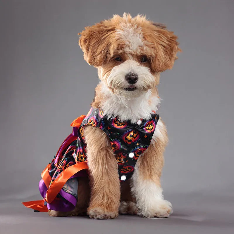 Halloween dog skirt with colourful pumpkin or skull print, double-layer design, size options S M L XL.