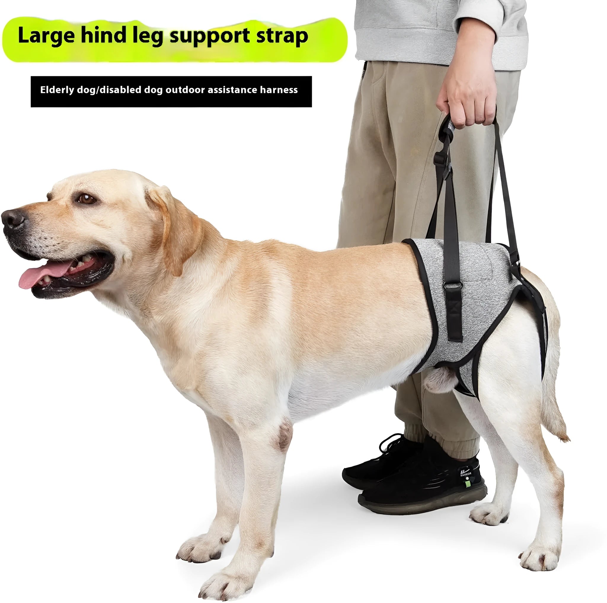 Medium grey neoprene dog rear leg recovery belt for 46-52cm waist measurements