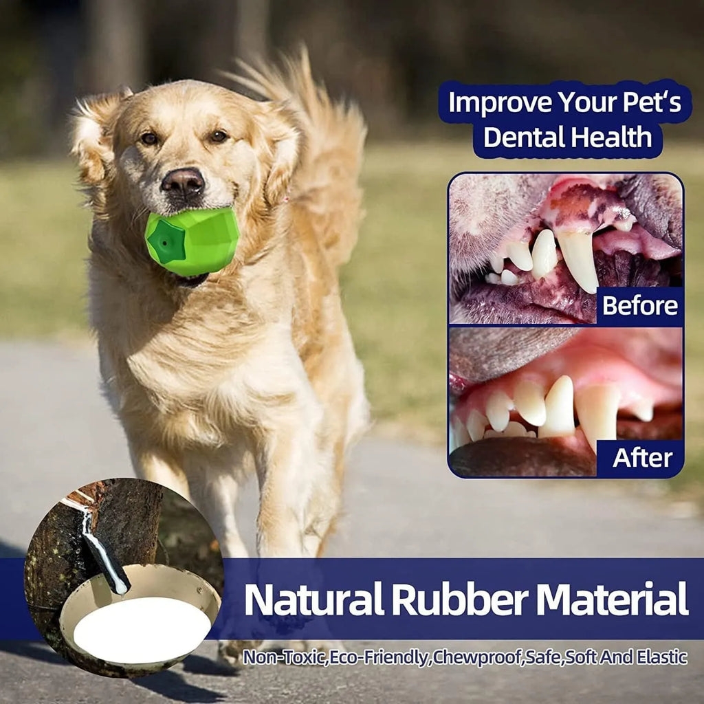 Green natural rubber squeaky ball dog chew toy for large breed dogs.
