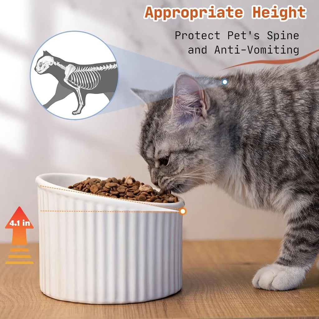 Elevated ceramic cat bowl in dark green colour showing tilted round design