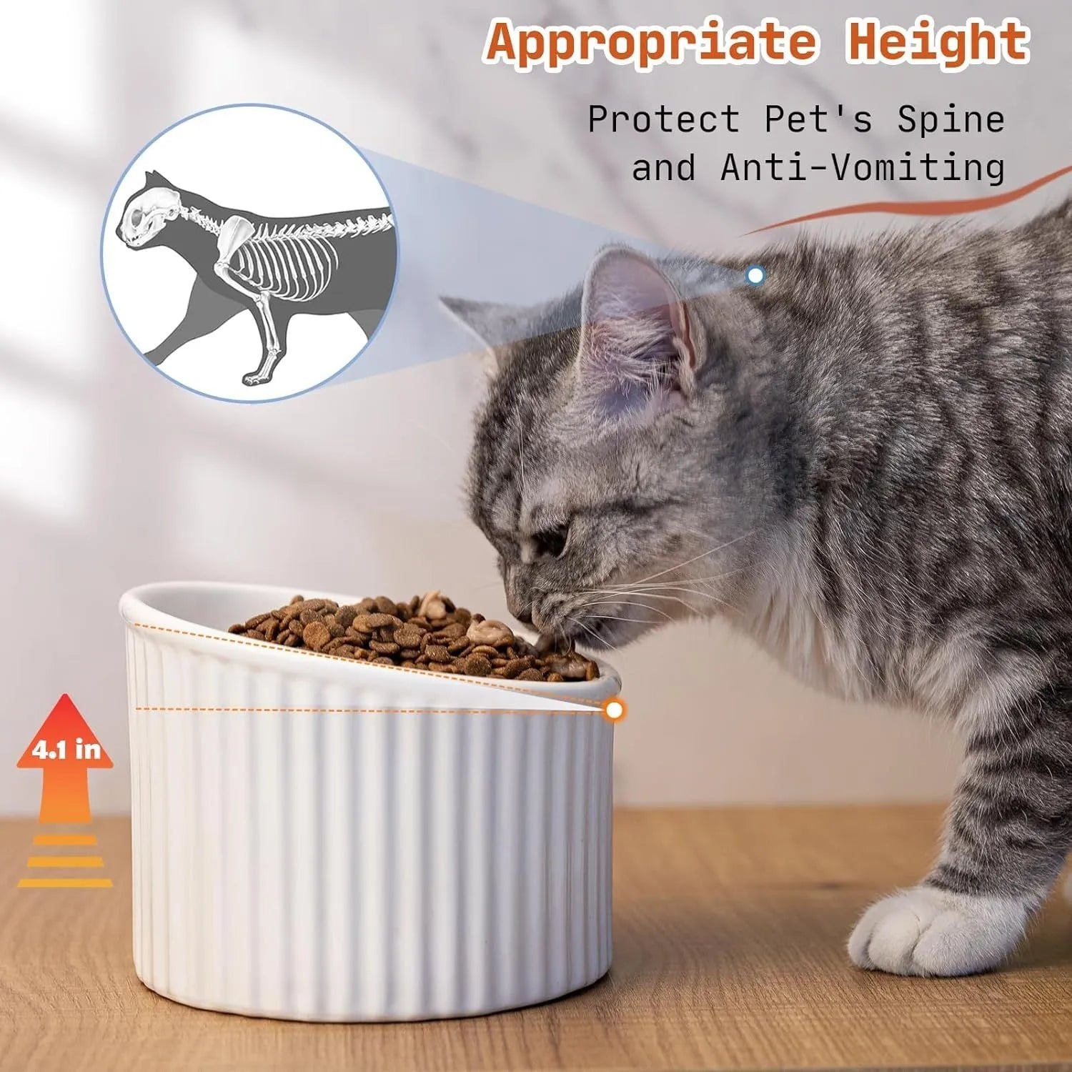 Elevated ceramic cat bowl in dark green colour showing tilted round design