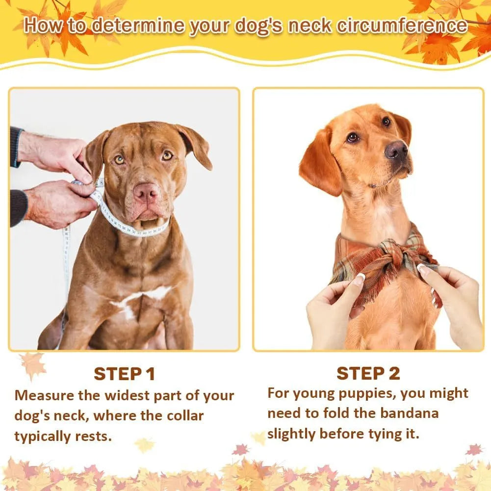 Classic plaid dog bandana with tasselled edges in autumn colours tied around dog's neck