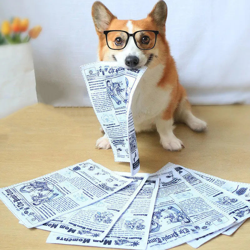 Tear-resistant dog toy with newspaper design and squeaker for interactive pet play