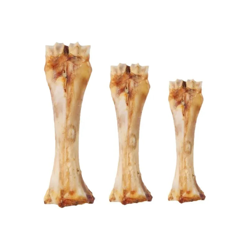 Large roasted ox bone flavoured puppy chew for teething and teeth cleaning.