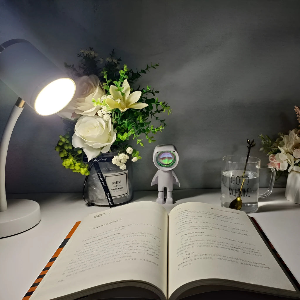 Double-headed photography streaming lamp with adjustable metal arms in black minimalist design