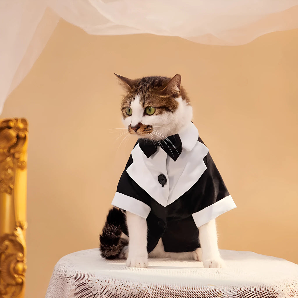 Chinese-style four-legged dog wedding suit in polyester available in black, grey and dark blue