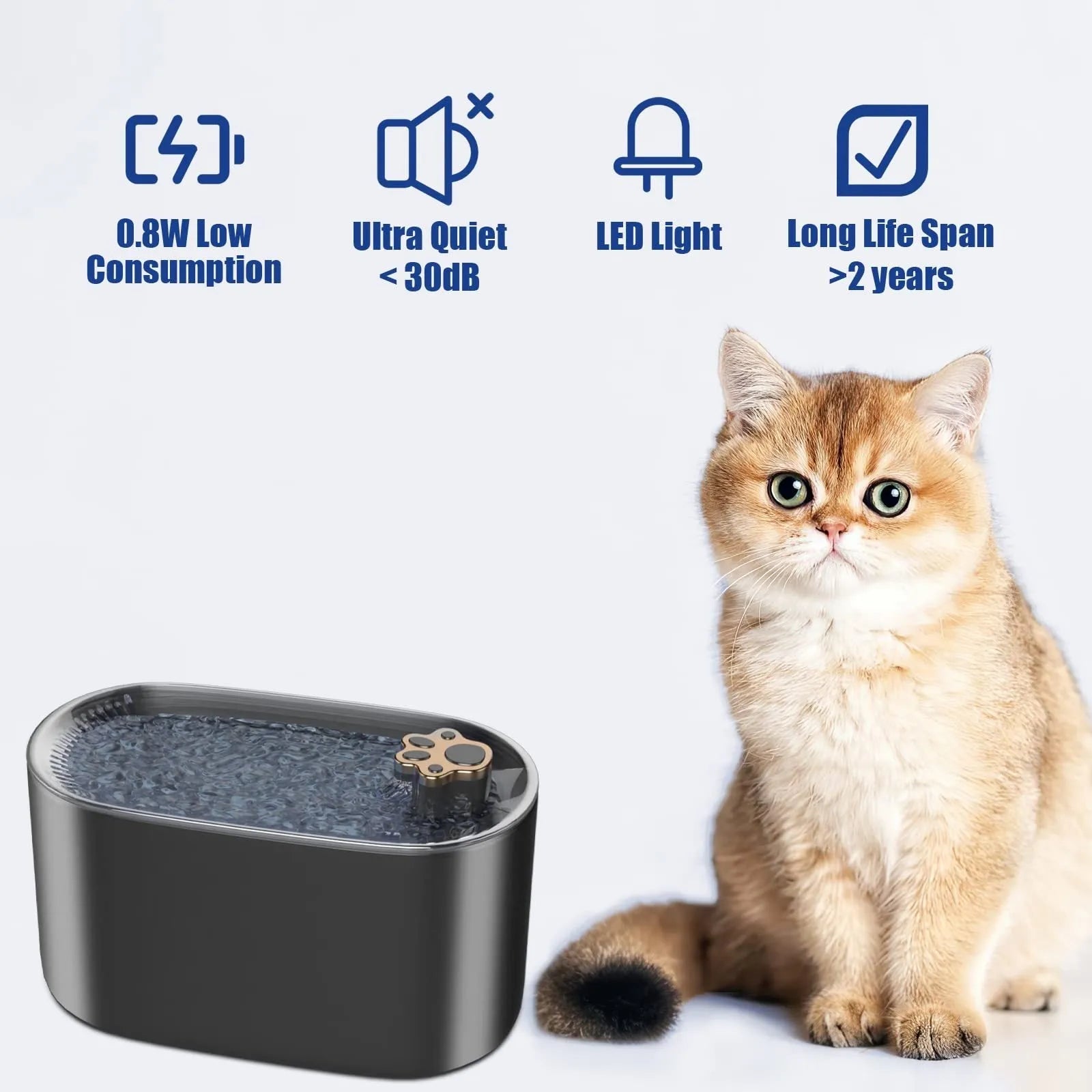 Berlin blue 3L pet water fountain with LED lights and filtration system on wooden floor