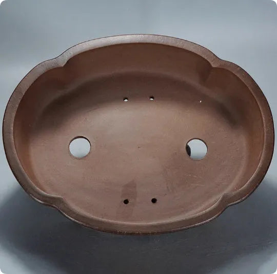 Classical purple clay bonsai pot with simple design, shown empty.