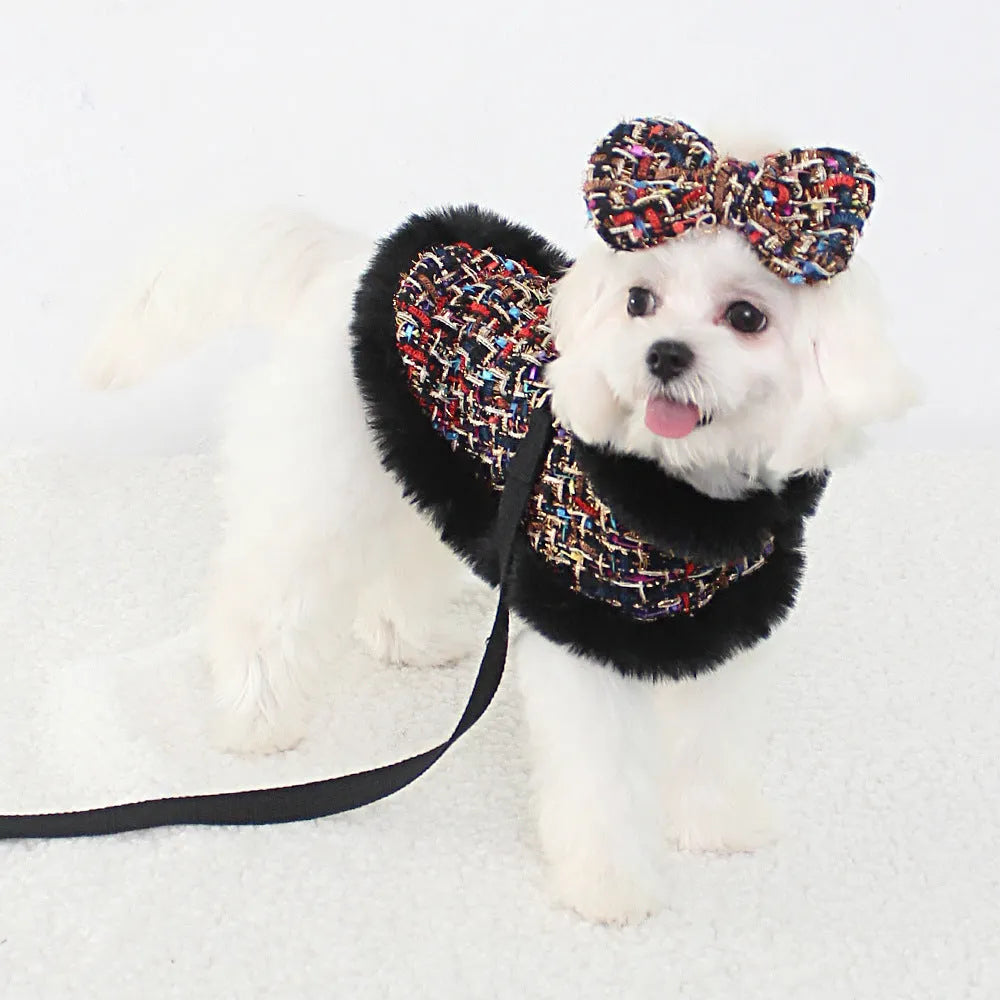 A dog wearing a classic cloth cloak attached to a chest strap with a hand holding rope