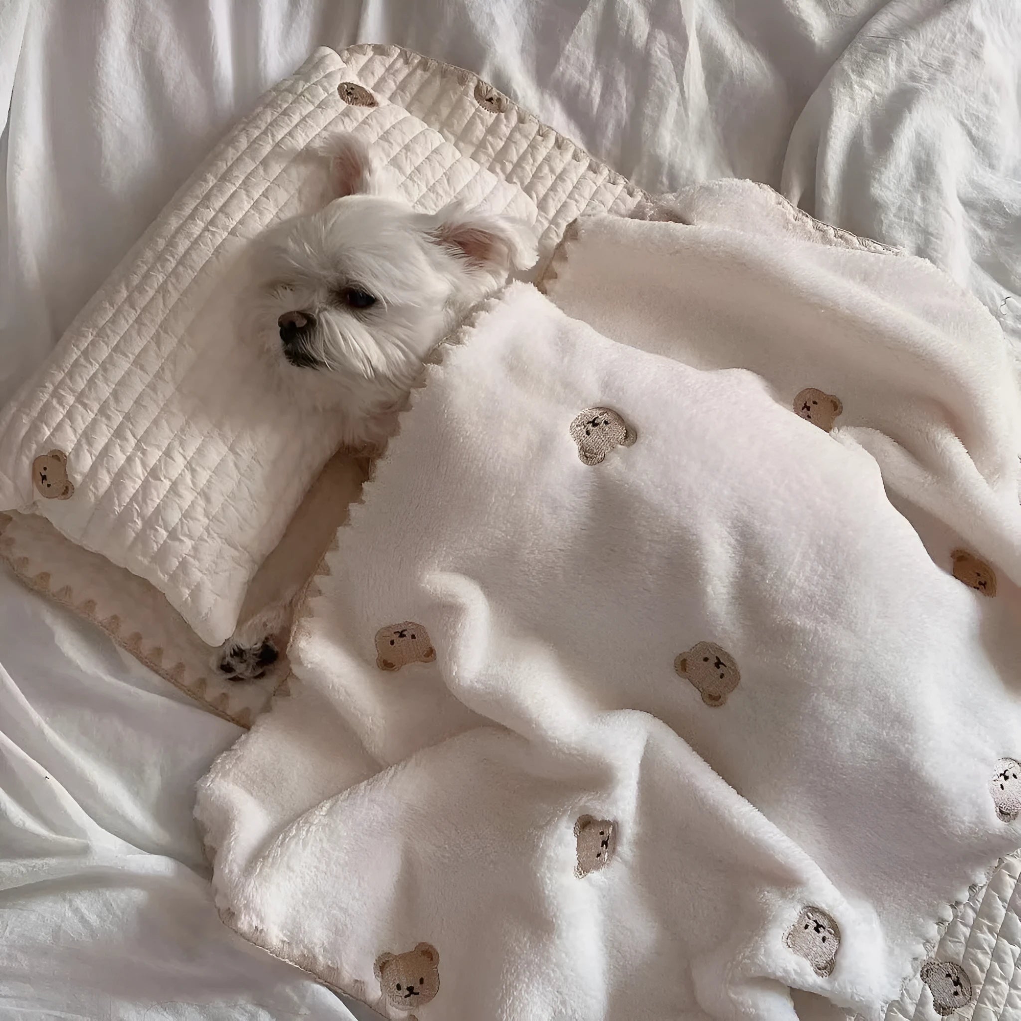 Simple Bear design dog bed set with pillow, mattress and comforter on grey background