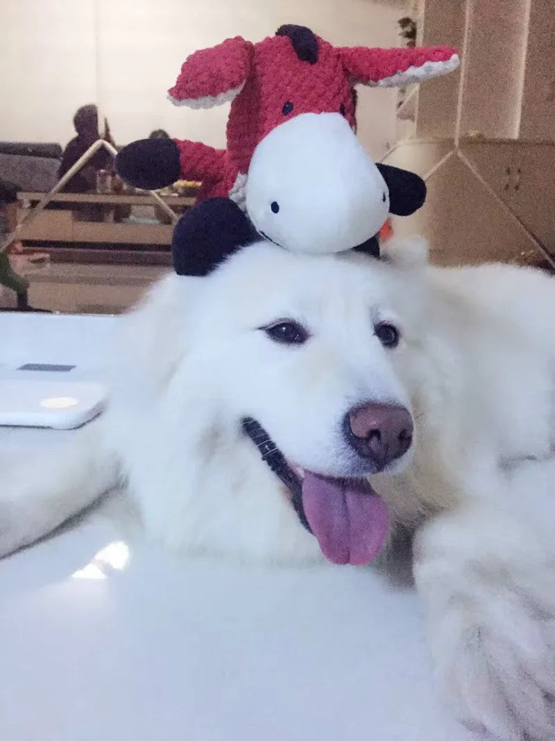 Soothing vocal dog toy for medium and large dogs, bite-resistant, big, in grey, red or yellow.