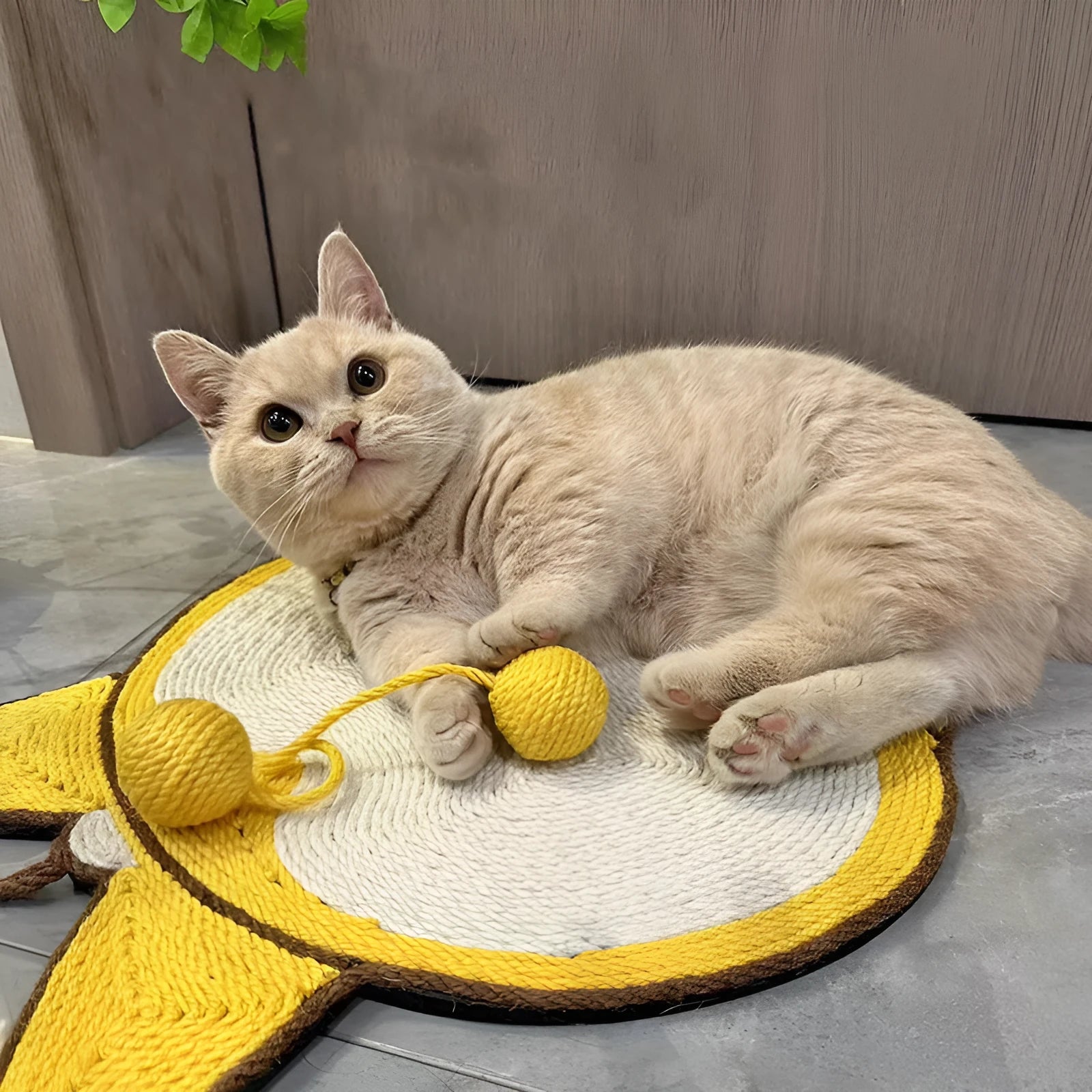 Yellow Corgi butt design sisal cat scratching board with anti-slip base and adhesive hooks