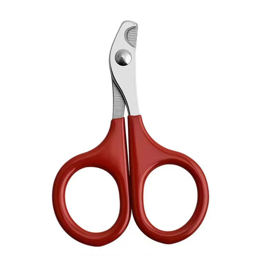 Close-up of pet nail clippers with stainless steel blades and a coloured rubberised handle.