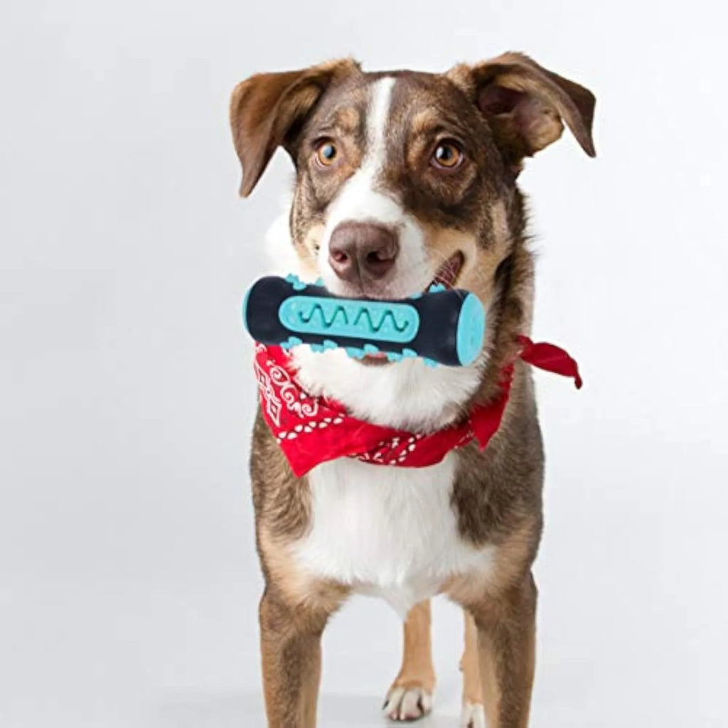 Natural rubber dog toothbrush chew toy in blue with cleaning bristles, shown next to a size scale.