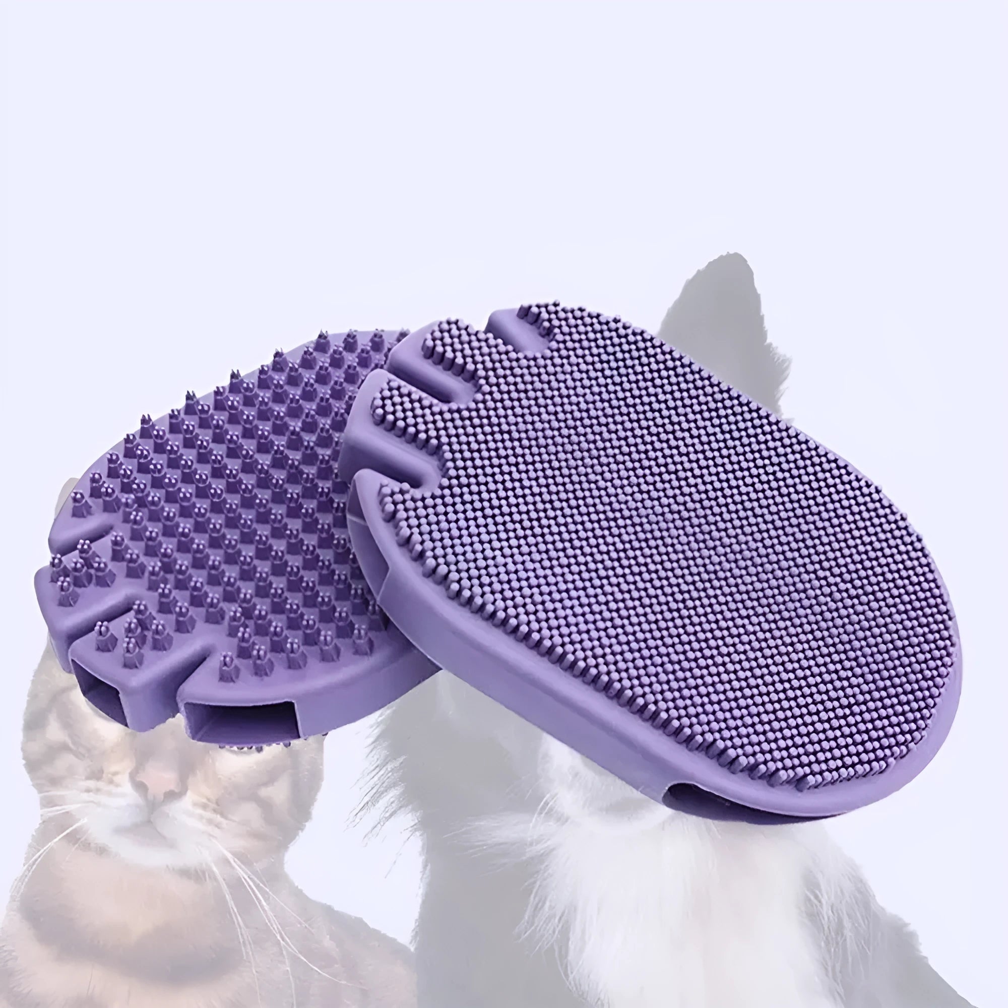 Purple dual-sided TPR pet massage and shampoo brush for dogs and cats.