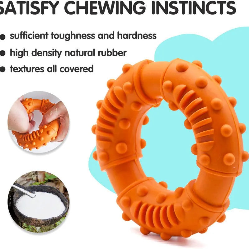 Blue dog fetching stick toy with hollow centre for safe chewing during fetch games