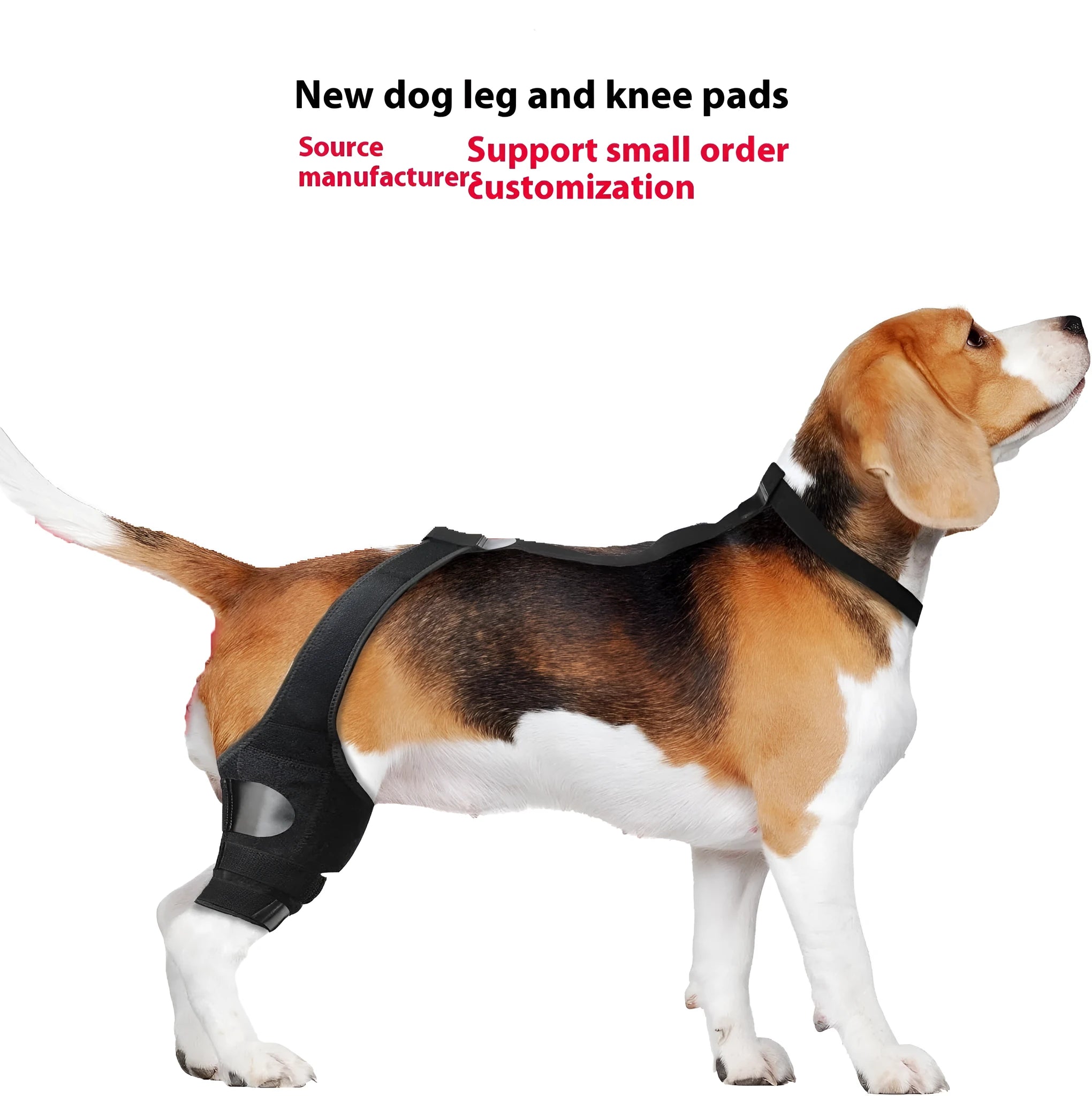 Neoprene dog hind leg knee brace in sizes XS to L available in five colours