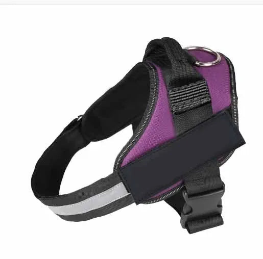 Adjustable dog harness with mesh padded vest on medium-sized dog