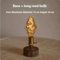 Retro USB rechargeable desk lamp with glass shade, shown with wooden base and a choice of ST64, G80, T45, T125, or Long Lu LED bulbs.