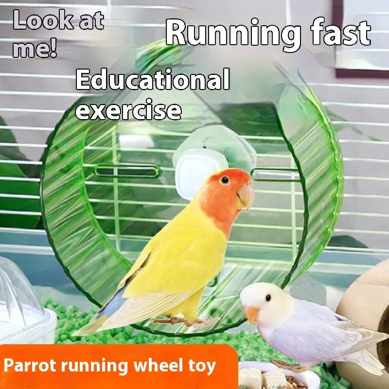 A plastic parrot exercise running wheel toy shown in transparent colour, suitable for cage use.