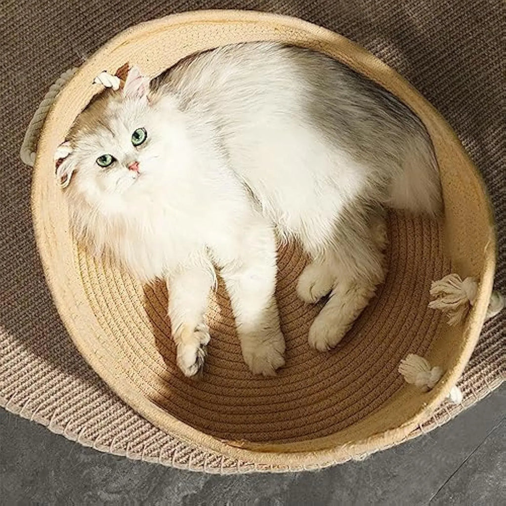 Wicker cat bed basket with corrugated scratching board for feline resting and claw maintenance