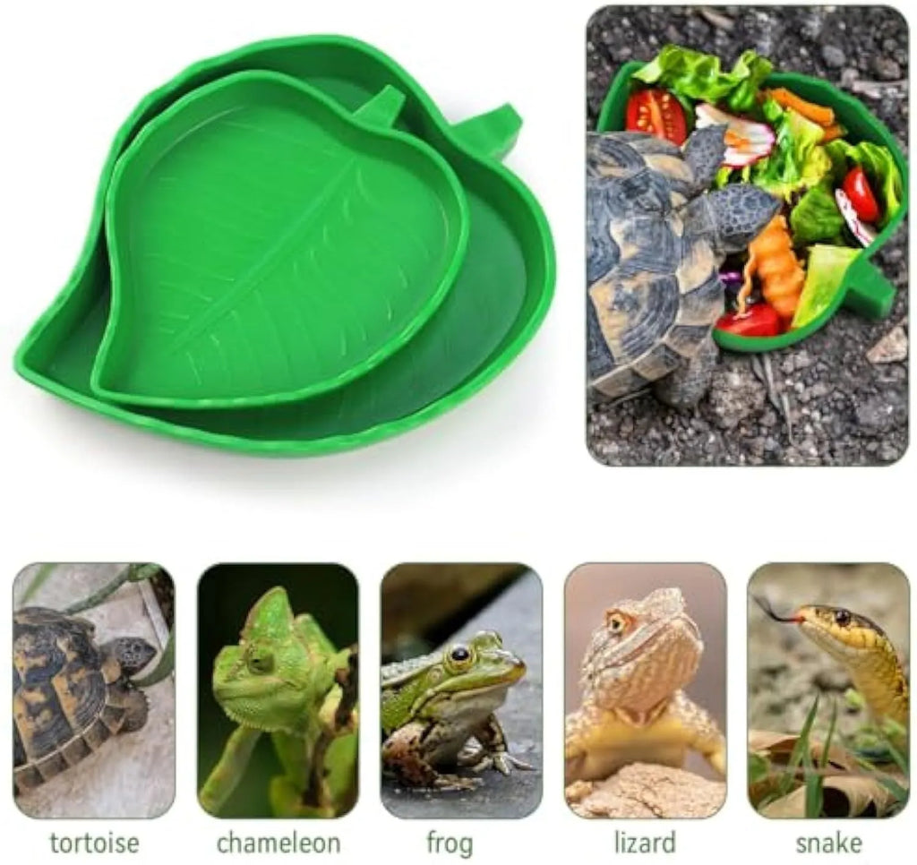 Two leaf-shaped reptile food and water bowls in green, large and small, on a white background.