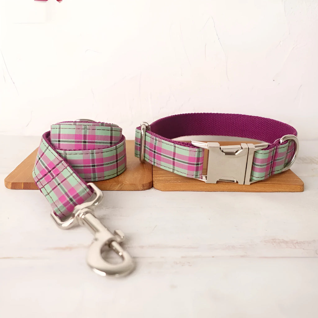 Mint zigezi polyester dog collar and leash set showing tear-resistant construction and adjustable design