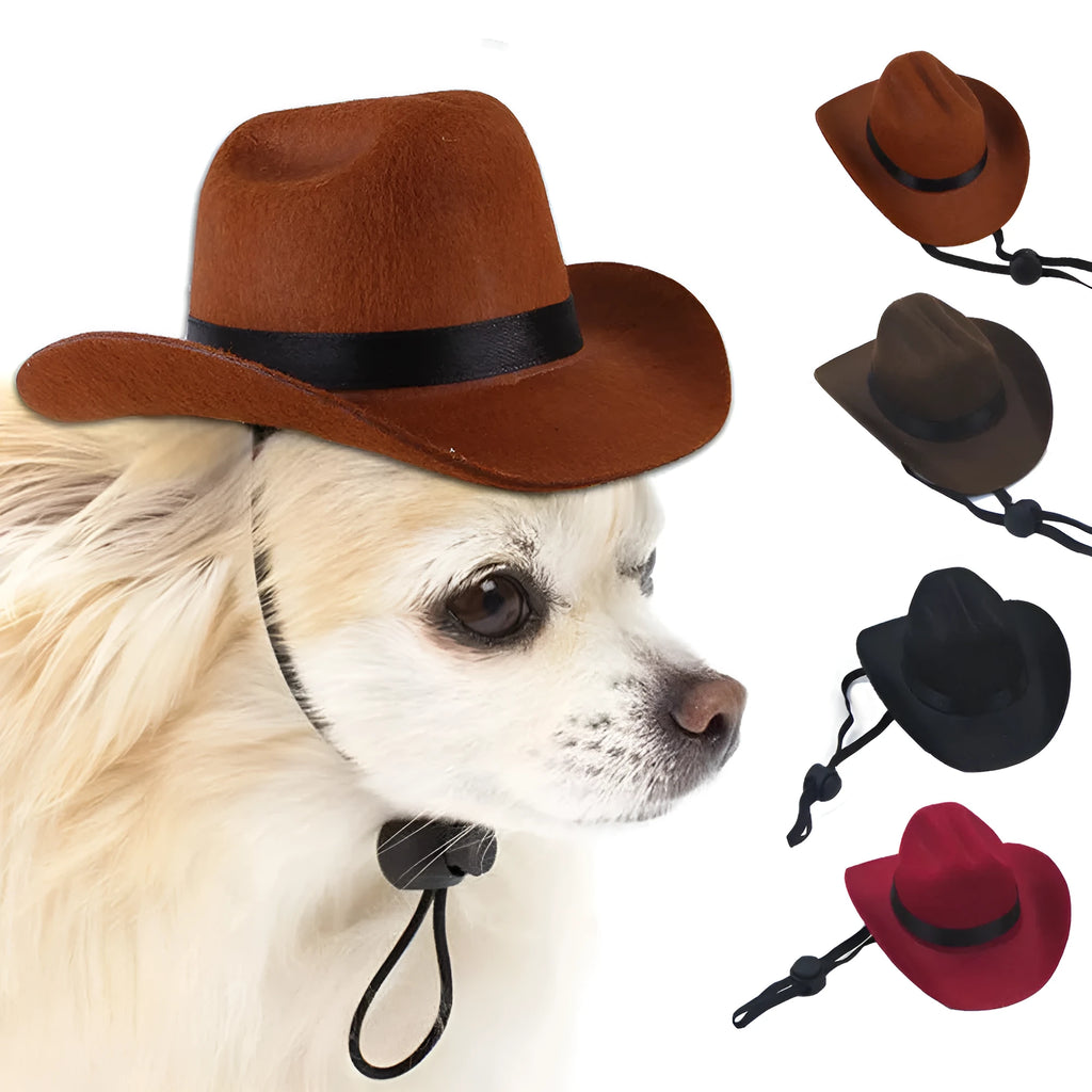 Adjustable cowboy hat for a dog or cat on a plain background, showing the rounded brim.