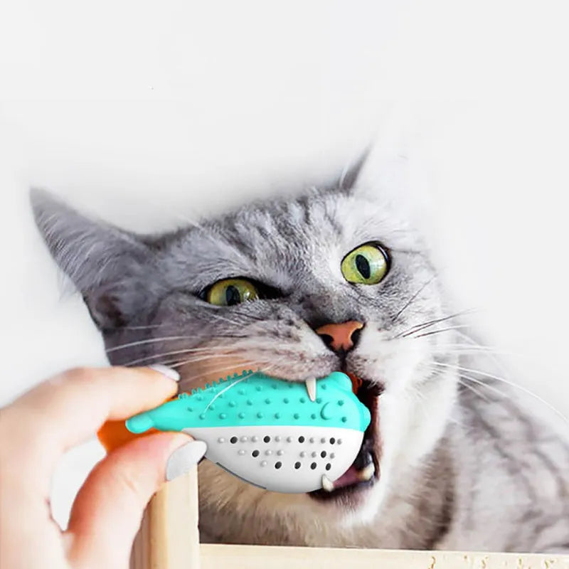 Silicone fish cat chew toy in blue, green, pink, or yellow colours measuring 12.2cm long