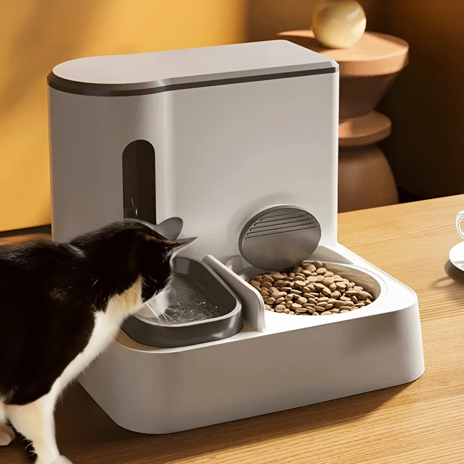 Automatic cat feeder with integrated water dispenser and double bowl system in grey colour