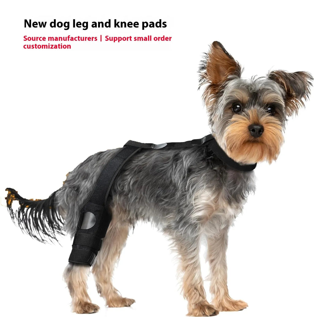 Neoprene dog hind leg knee brace in sizes XS to L available in five colours