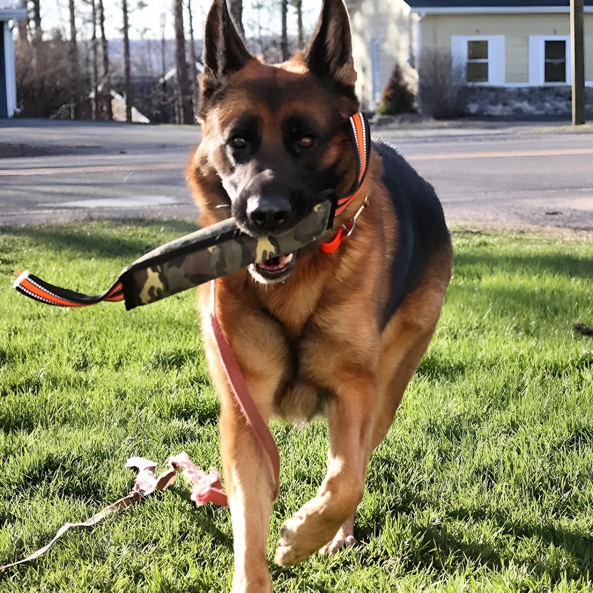 Yellow-trimmed jute dog training bite stick with reflective stitching measuring 55cm length