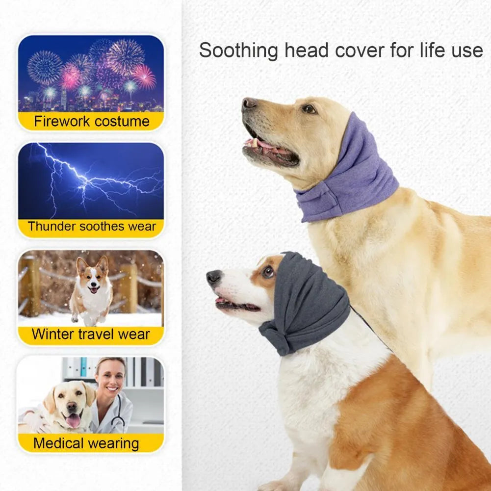 Dog wearing purple noise reduction hoodie with ear wraps and head cover