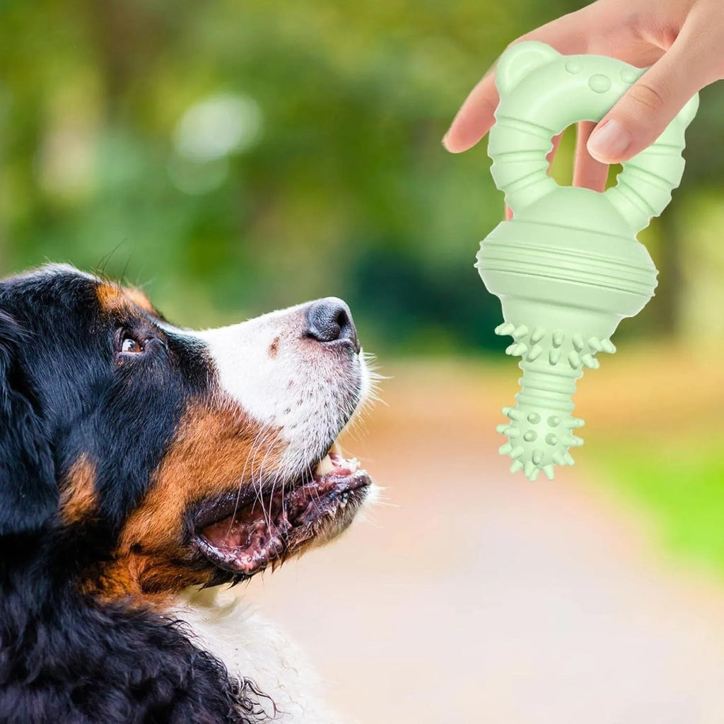 Blue rubber dog chew toy with textured molar cleaning surface and bell inside