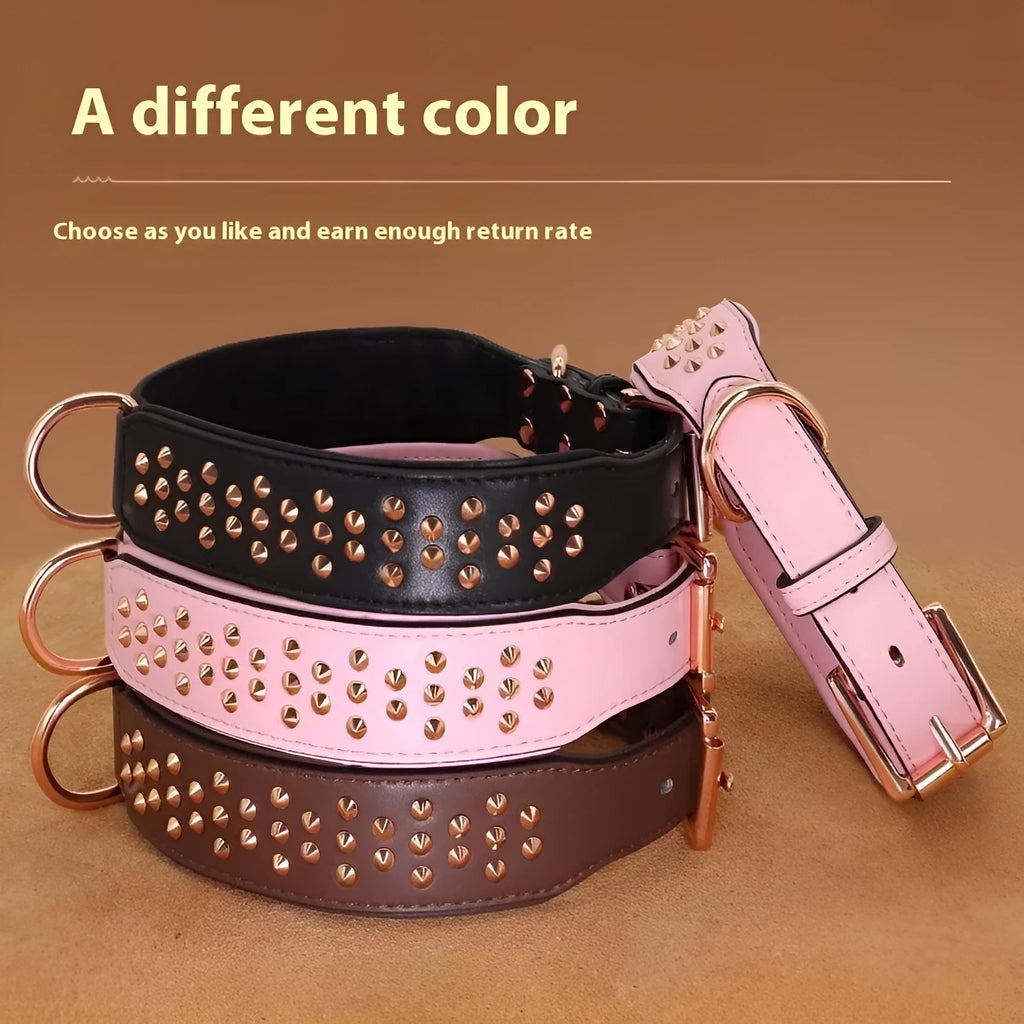 Leather dog collar with metal anti-bite rivets and a buckle, shown in black colour.