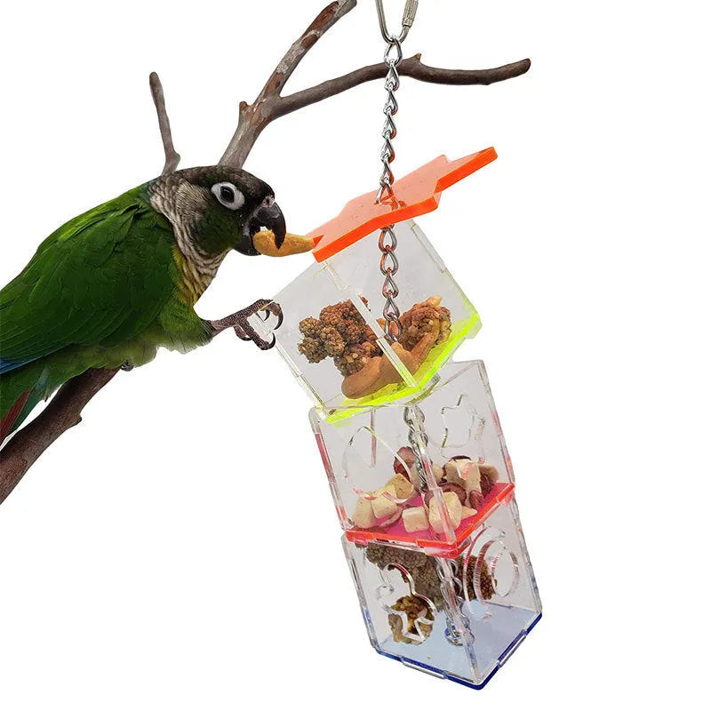 Clear acrylic parrot foraging toy measuring 5 cm by 5 cm by 32 cm for bird treats