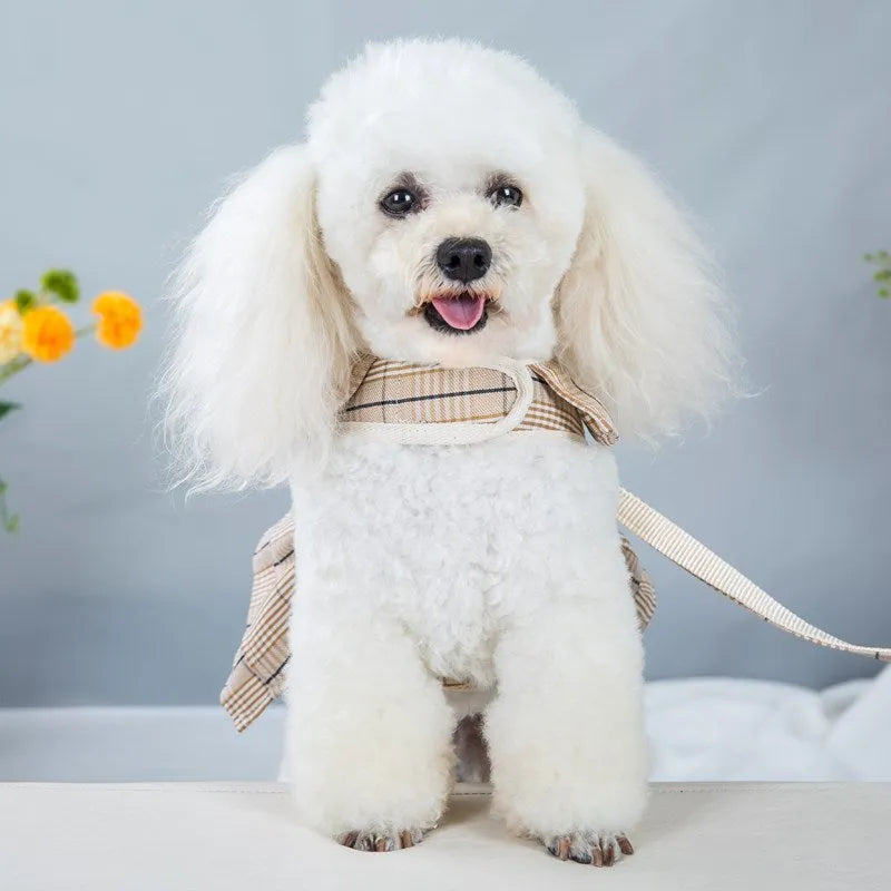 Pet chest harness vest with attached walking rope in milk white or purple colour options