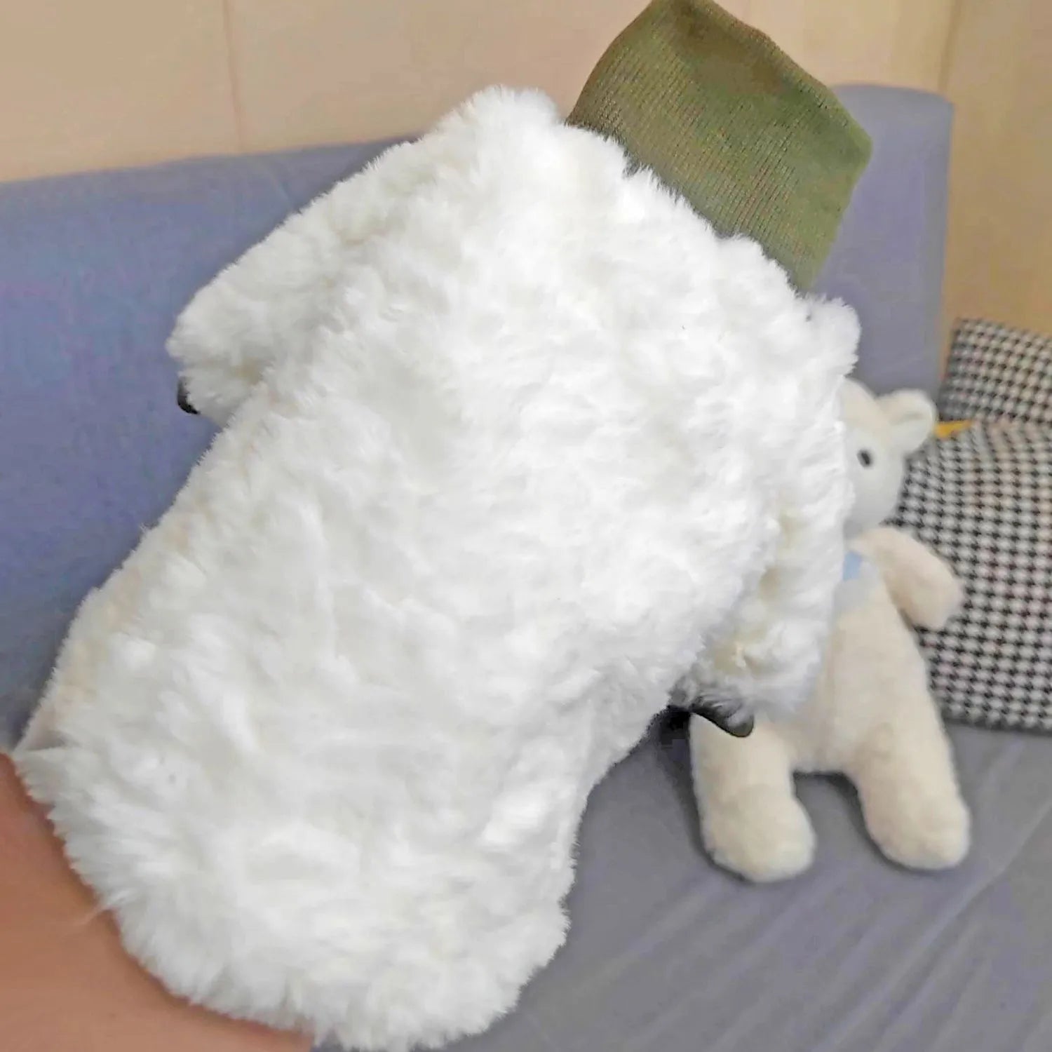 Creamy green turtleneck plush dog coat on small pet showing high collar design and cotton padding