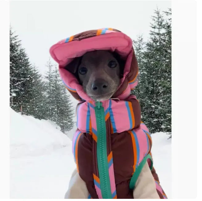 Dirty pink striped dog vest and matching hat set for autumn and winter wear