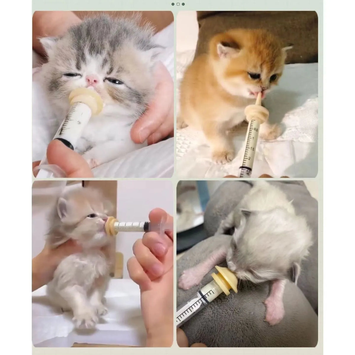 Pet silicone nursing syringe kit with nipples and syringes in three sizes for kittens and puppies